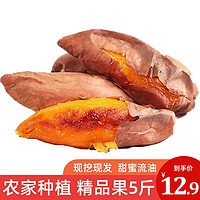 芮瑞 龙九红薯红蜜薯  新鲜蔬菜 5斤
