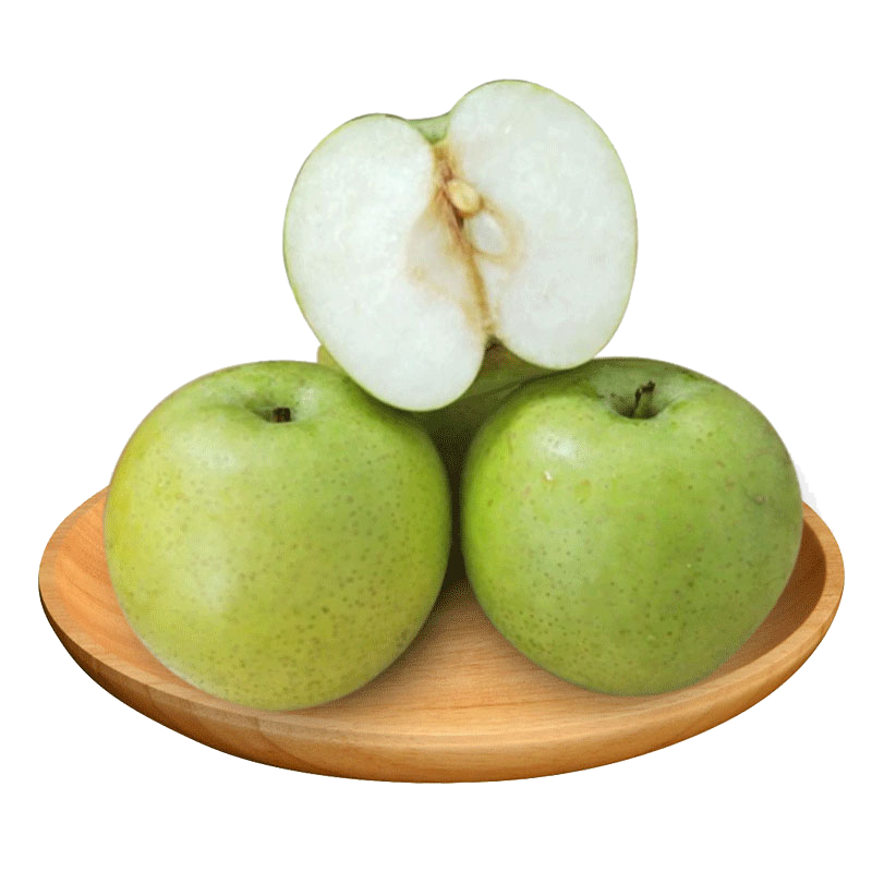 果沿子 新鲜甘肃酥梨子 4.6-5斤装 单果65mm以上 应季梨子时令新鲜水果