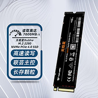 TOPMORE 达墨 天枢星 M.2 NVMe固态硬盘 2TB PCIe 4.0