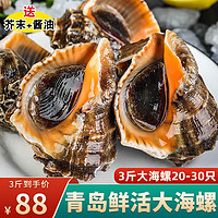 青岛大海螺鲜活 1500g 10-18只 海鲜贝类生鲜 中号海螺3斤20-30只