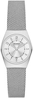 SKAGEN 诗格恩 女式 Grenen Lille 三指针日期手表,带网眼或皮革表带