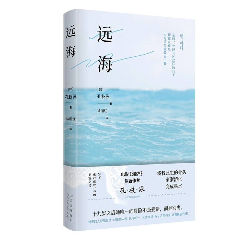 远海 电影《熔炉》原者 孔枝泳 “将我此生的骨头渐渐溶化，变成墨水”像抒情诗一样的美丽小说