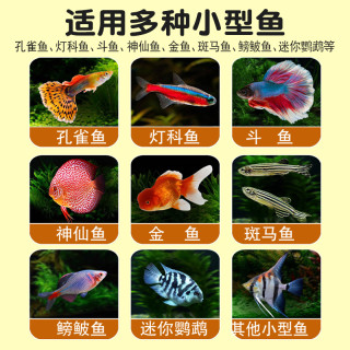 贝宠 孔雀鱼饲料斗鱼鳑鲏鱼小型热带鱼粮凤尾鱼斑马鱼小颗粒金鱼小鱼食