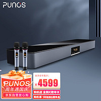 Punos 家庭KTV音响套装 家庭影院回音壁低音炮 三分频音箱 钢琴师PS-36