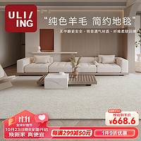 优立地毯 家用羊毛简约地毯卧室客厅地毯耐脏整铺地毯 云岛01-160×240CM