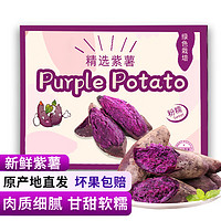 紫薯紫罗兰新鲜蔬菜产地 紫薯带箱5斤