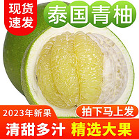中鲜生 泰国青柚进口热带水果新鲜青皮柚子白心蜜柚当季孕妇整箱 精选2个装(约4-4.5斤）
