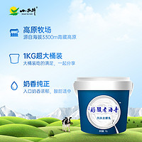 XIAOXINIU 小西牛 大桶装老酸奶益生菌发酵4.0g蛋白质原味老酸奶1kg*1桶