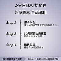 AVEDA 艾梵达丰盈强韧洗护精套装 固发蓬松 派样