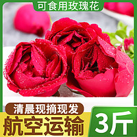 中鲜生 云南食用玫瑰花瓣新鲜墨红可做鲜花饼酵素酱现摘花朵1斤航空重瓣