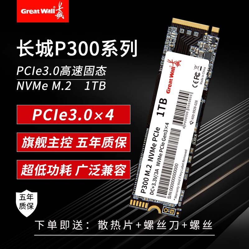 Great Wall 长城 P300 NVMe M.2 固态硬盘 1TB（PCI-E3.0）