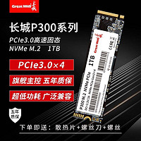 Great Wall 长城 P300 M.2固态硬盘 1TB笔记本电脑游戏SSD台式机PCIE3.0