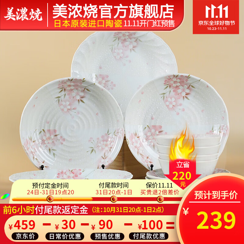 美浓烧 Mino Yaki）日本进口陶瓷餐具套装樱花碗盘碟家用釉下彩餐具组合 10件套