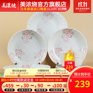 TOKI MINOYAKI Mino Yaki）日本进口陶瓷餐具套装樱花碗盘碟家用釉下彩餐具组合 10件套