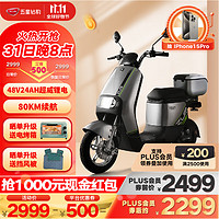 ZUB 五星鉆豹 新國標電動自行車48V24AH鋰電池電瓶車 B13 尾箱版