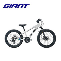 捷安特（GIANT）XTC 20-D铝合金20寸7速机械碟刹变速青少年自行车 白月光 20×10 适合身高115-135cm