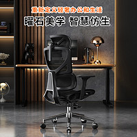 DBL 达宝利 ergosmart人体工学椅电脑椅子家用护腰办公椅久坐网布靠背