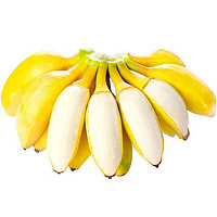 青尊园广西皇帝蕉 新鲜小米蕉热带香甜小香芭蕉自然熟苹果蕉 生鲜水果 精选3斤装