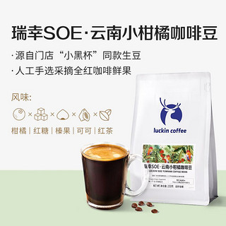 88VIP：瑞幸咖啡 瑞幸SOE云南小柑橘精品咖啡豆中深烘焙250g