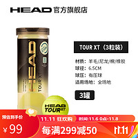 HEAD海德网球比赛训练用球单人练习黄金球TOUR XT TOUR XT（3粒装）3罐