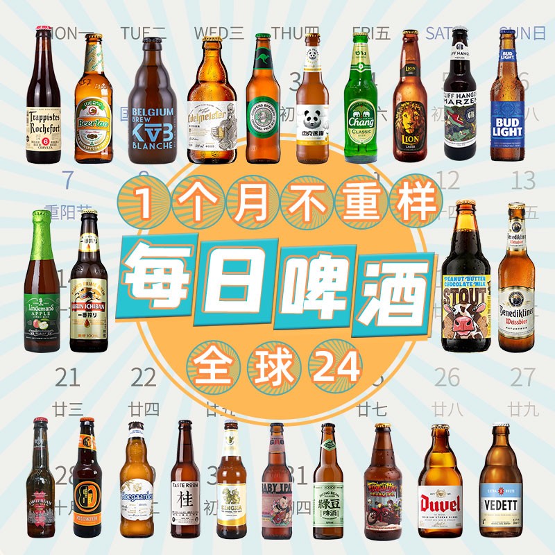 ERGOUPUB 全球精酿啤酒组合 白啤/IPA/修道院/黑啤/果啤 比利时/中国 精酿24瓶