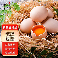新鲜谷物鸡蛋  正宗农家柴鸡蛋 生鲜单枚40±5g 4枚