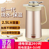 雷凡 LeiFan电热水壶电水壶蓝光家用高硼硅玻璃烧水壶 2.5L暖水瓶