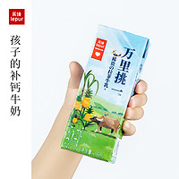 lepur 乐纯 减乳糖 量贩装整箱乐纯水牛牛奶高钙4.0g蛋白儿童牛200ml*10盒*4