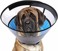 Manificent Dog Cone *后狗狗锥体替代品,