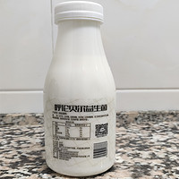 兰格格酸奶呼伦贝尔益生菌马苏里 蒙古熟酸奶风味发酵乳431g酸奶