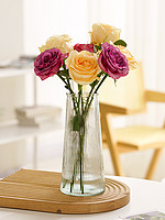 姝好 北歐風簡約玻璃花瓶水養水培綠植鮮花插花瓶餐桌客廳裝飾擺件