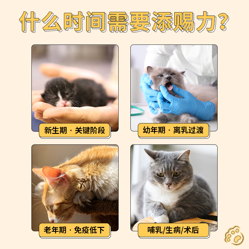添赐力牛初乳免疫增强膏幼猫孕猫咪营养膏狗狗乳铁蛋白天赐力美国