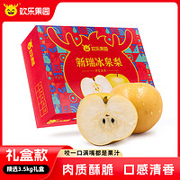 Joy Tree 欢乐果园 新瑞冰泉梨 秋月梨 精选3.5kg礼盒装 约5-9粒 生鲜水果