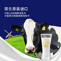 Globemilk 荷高 荷兰原装进口 3.7g优乳蛋白全脂纯牛奶 1L*6 营养早餐 送礼优选