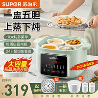 SUPOR 苏泊尔 电炖锅6.5L 大容量电炖盅多功能煲汤炖汤隔水炖煮粥DZ45FC865