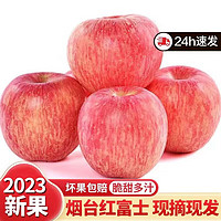 鲜合汇优山东烟台栖霞红富士苹果脆甜 当季新鲜时令水果整箱装特产 精选9枚装 净重4.5斤（80-85mm）
