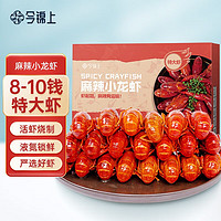 今锦上麻辣小龙虾 1.5kg 8-10钱特大虾 净虾750g 15-18只