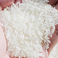 瑶珍香米珍香米820g丝苗香米籼米 小长粒新鲜大米 小真空包装