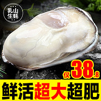乳山生蚝鲜活10新鲜特大海蛎子5斤带箱海鲜牡蛎水产整箱商用