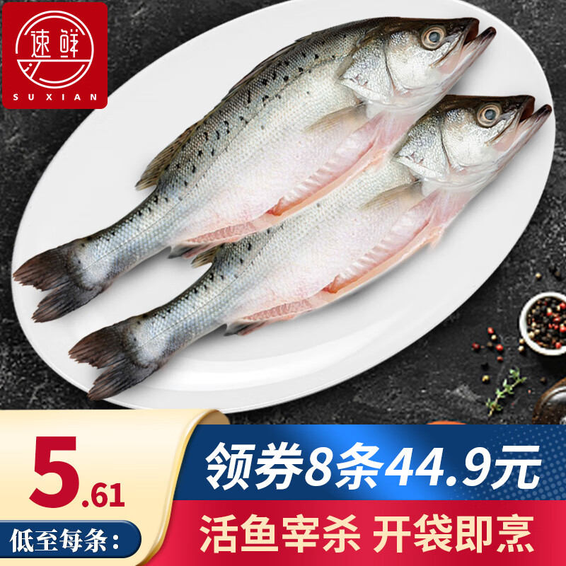 新鲜活冻三去开背开腹白蕉海鲈鱼 海鲈鱼250克（2袋装）*4份共8条