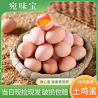 新鲜谷物鸡蛋 农场直供 生鲜 40枚装 1.6kg