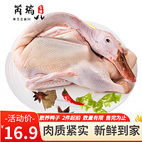 移动端、京东百亿补贴：芮瑞 农家散养大白肉土鸭子 净重约900g