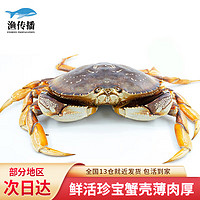 渔传播 加拿大鲜活珍宝蟹 1.4-1.6斤 1只元宝蟹大螃蟹