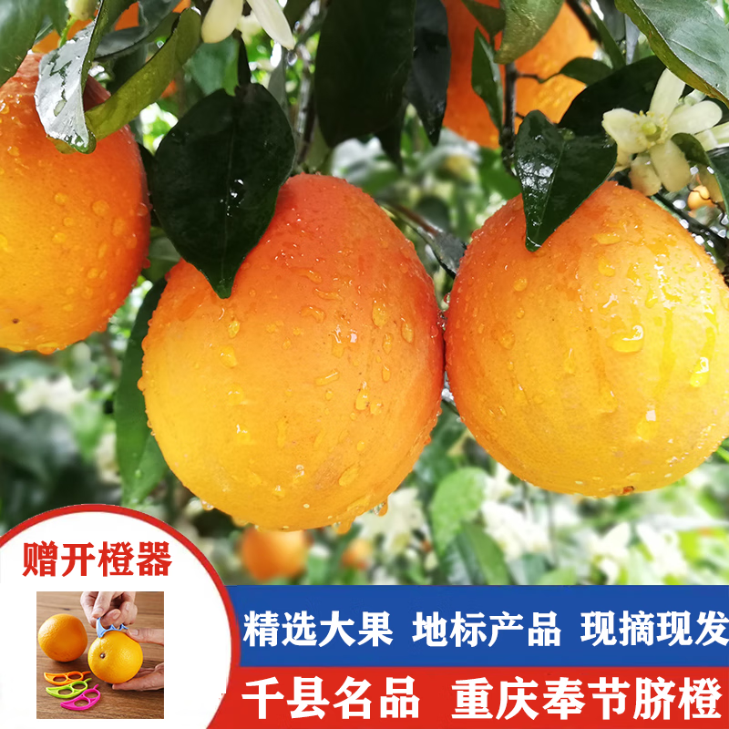 重庆奉节脐橙 当季水果特级大果新鲜橙子10斤生鲜水果年货礼盒 特级10斤礼盒装