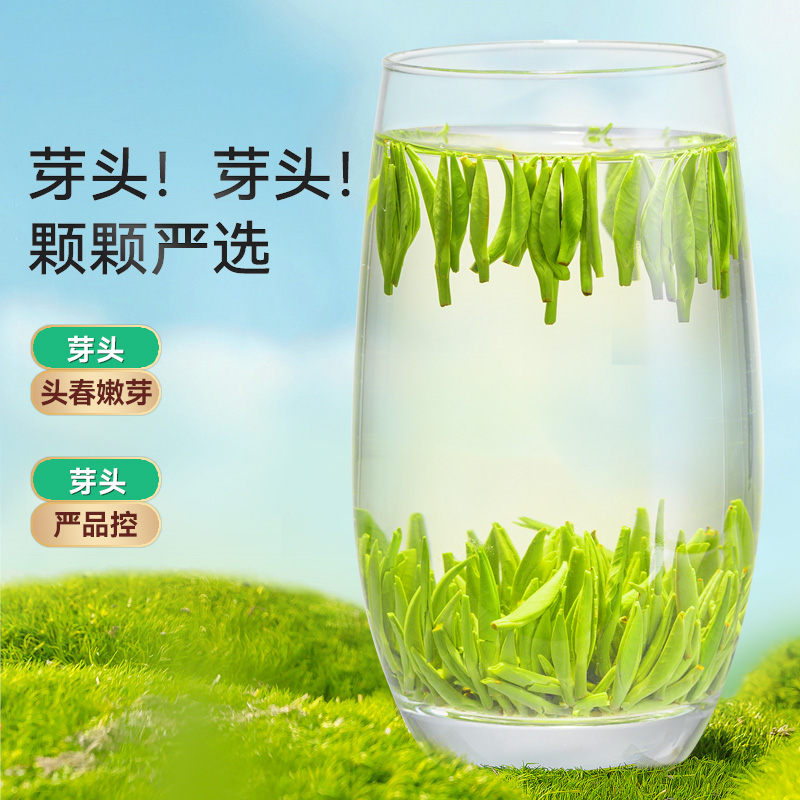乐品乐茶 茶叶2023新绿茶特级明前雀舌100g*2浓香型嫩芽毛尖春茶