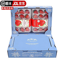 顶鲜佳 奶油草莓甜草莓礼盒装 大果单果30克+ 精选草莓 1盒
