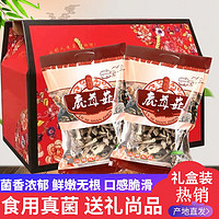 铛铛食代福建特产鹿茸菌新货鹿茸菇干货礼盒250gX2袋 500g