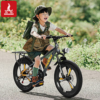 PHOENIX 凤凰 儿童自行车6-12岁女孩中大童男孩山地碟刹变速小学生20寸单车