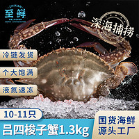 至鲜 吕四梭子蟹整只1.3kg黄海液氮无冰螃蟹2.6斤海鲜冷冻海蟹 吕四梭子蟹1.3kg10-11只（公）