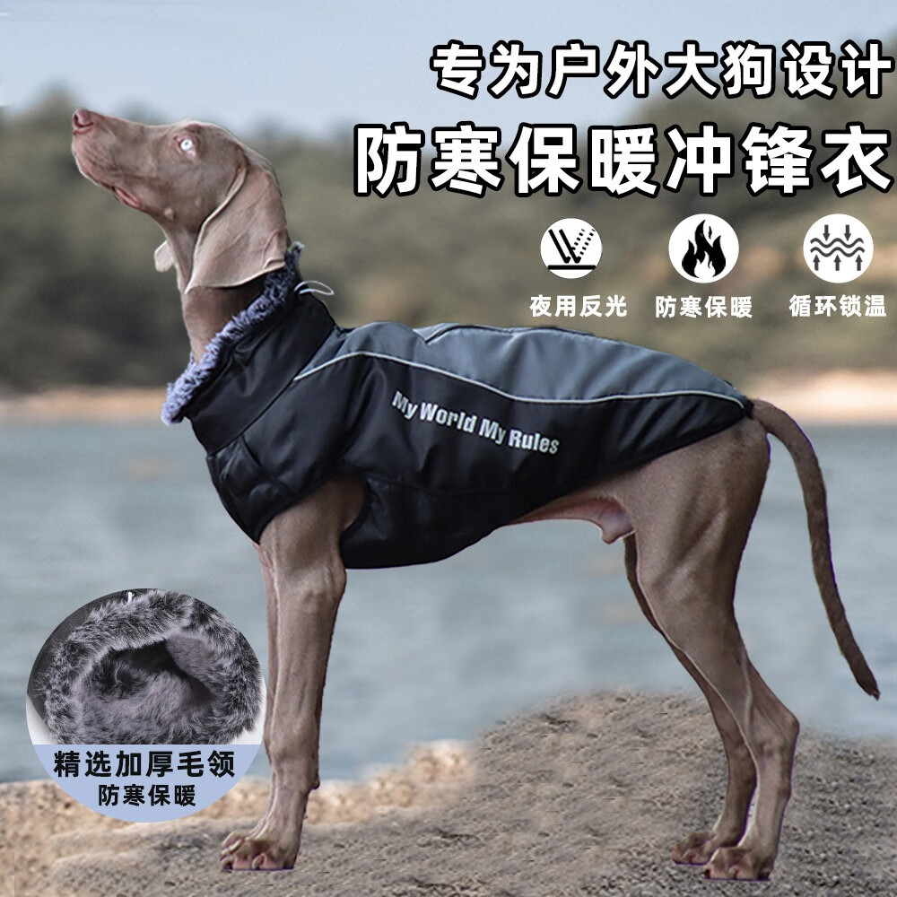 PEITE PET狗狗衣服冬天加厚保暖棉衣中大型犬金毛杜宾边牧柯基狗衣服可牵引 西柚红【加绒加厚】 5XL （适合55-69斤）